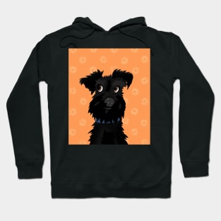 Black Miniature Schnauzer Dog with Orange Daisies Hoodie